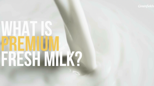 What is Premium Fresh Milk?