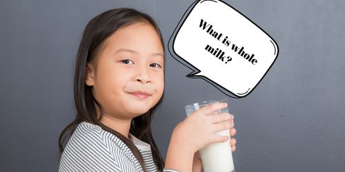What is Whole Milk?