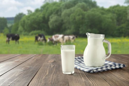 Yuk Cari Tahu Perbedaan Susu UHT dan Greenfields Fresh Milk!